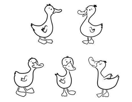 imagenes de aves para dibujar divertidas